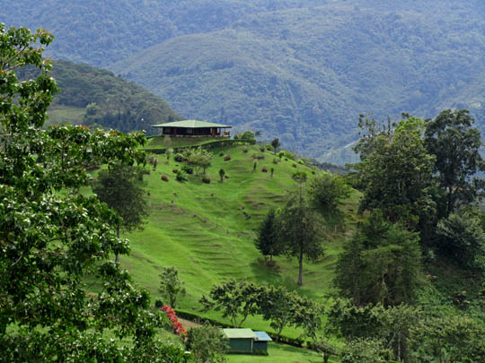 Above Orosi: I'd like to live there!