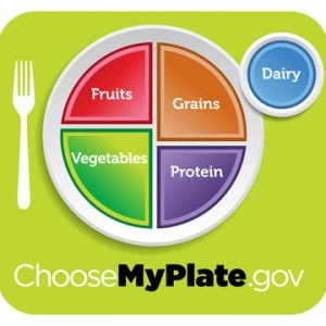 The U.S. government's new food plate emphasizes vegetables, fruits, whole grains, and lean meats.