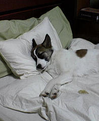 Go to sleep an hour early!