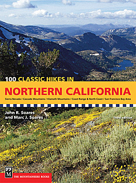 I coauthored this book with my brother Marc. The collaboration went well!