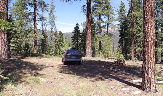 My writing retreat campsite above the Middle Fork of the Sacramento River. It's level, shaded, and secluded.