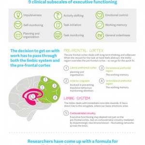 The psychology/science of procrastination.
