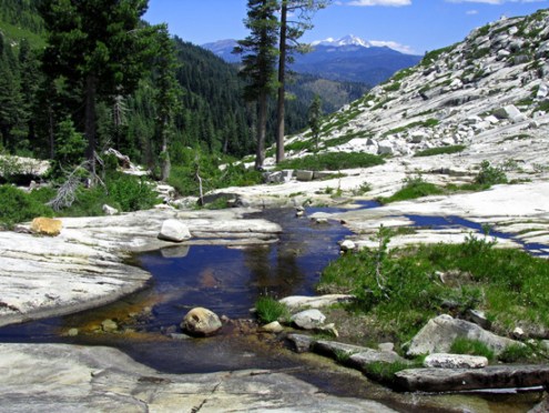 I like to spend my time alone hiking in the mountains.