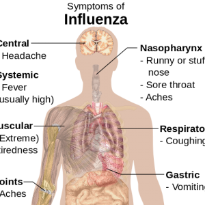 Influenza/flu symptoms: headache, fever, achy joints, coughing, sneezing, sore throat, vomiting.