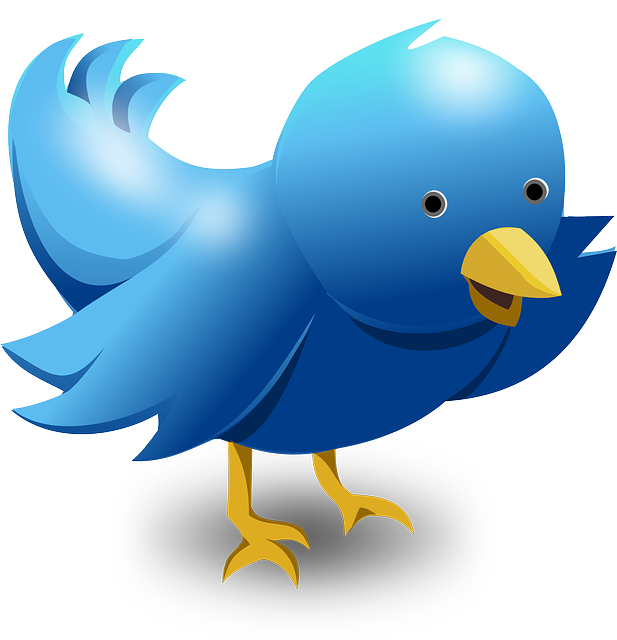 Twitter hashtags for freelance writers: all the most common hashtags for sharing info about freelance writing; also useful for book authors.